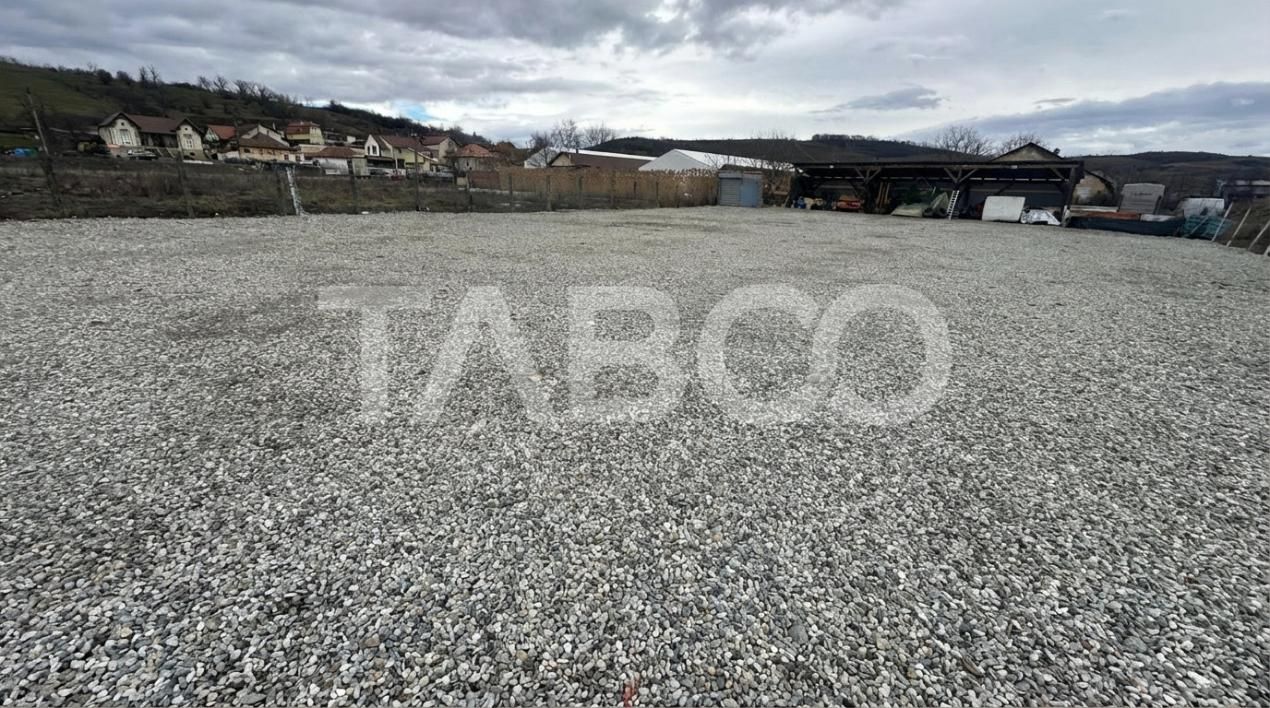 Teren de inchiriat 2000mp acces direct din drum asfaltat Viile Sibiulu – fotografia 3 din 4