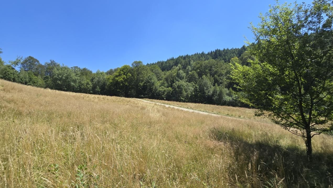 De vânzare teren de 36.200 mp teren în Poiana Mărului – fotografia 8 din 9