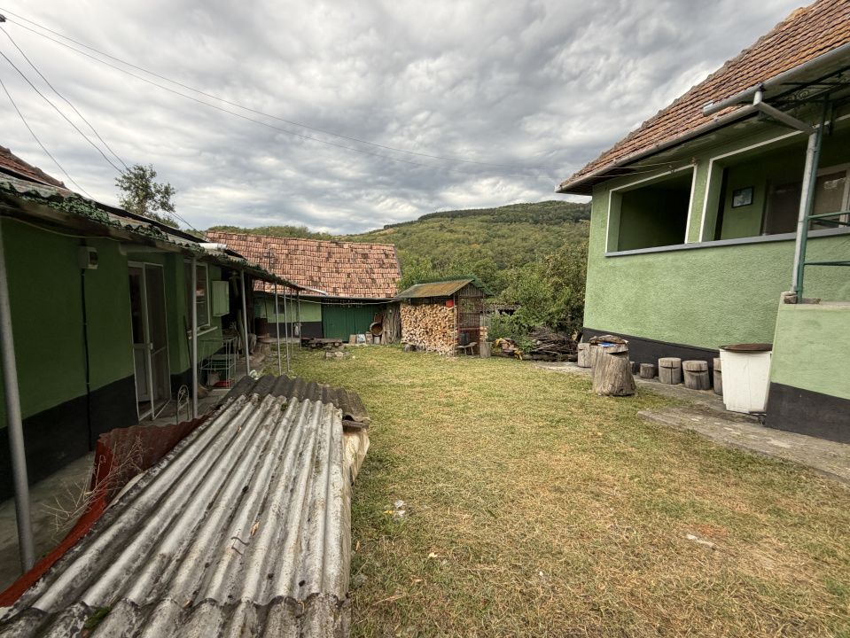 Casă în Cricău cu 1.375 mp teren, anexe, utilități, vie și livadă - Oportunitate – fotografia 10 din 54