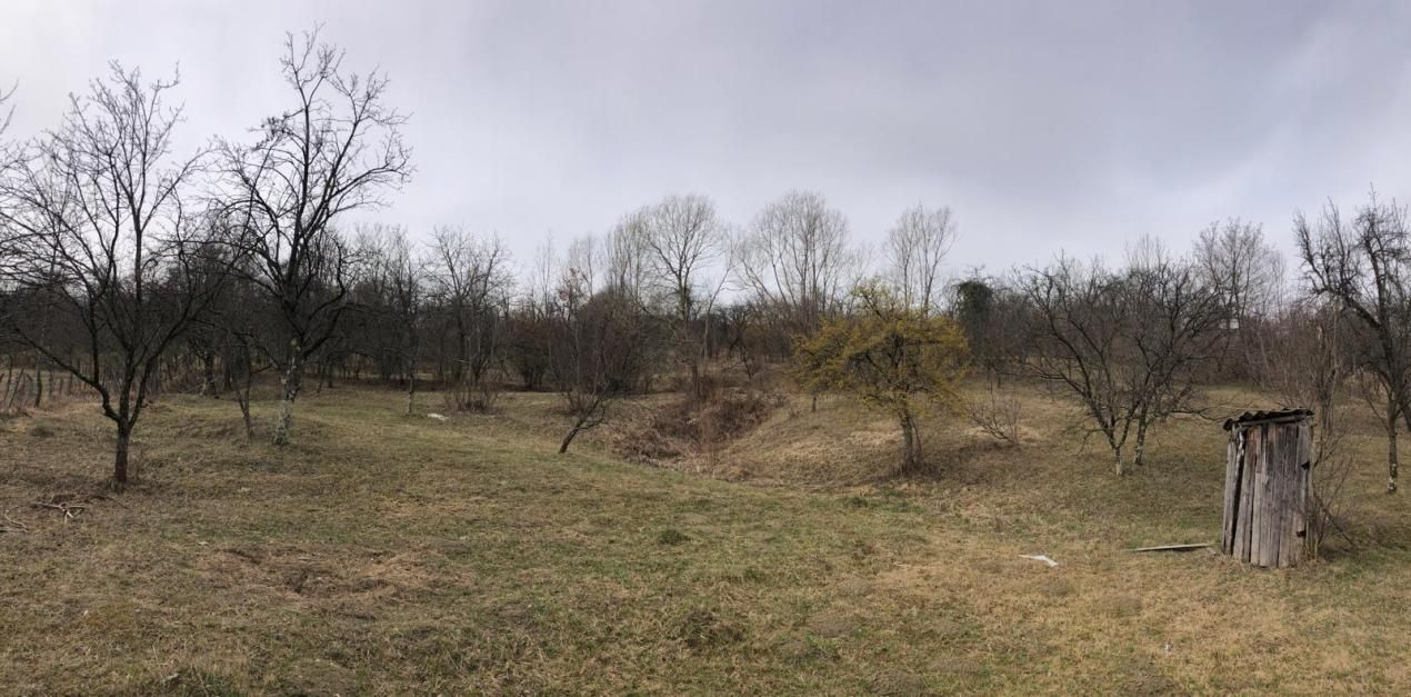 Teren intravilan 2.454 mp cu casă cadou – Zona Runcu, ideal pensiune – fotografia 2 din 4