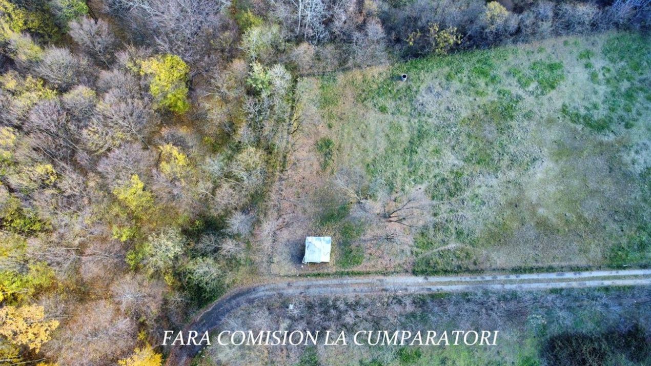 PADURE LANGA ORAS ACCES BUN IDEALA PENTRU ACTIVITATI DE AGREMENT – fotografia 10 din 13