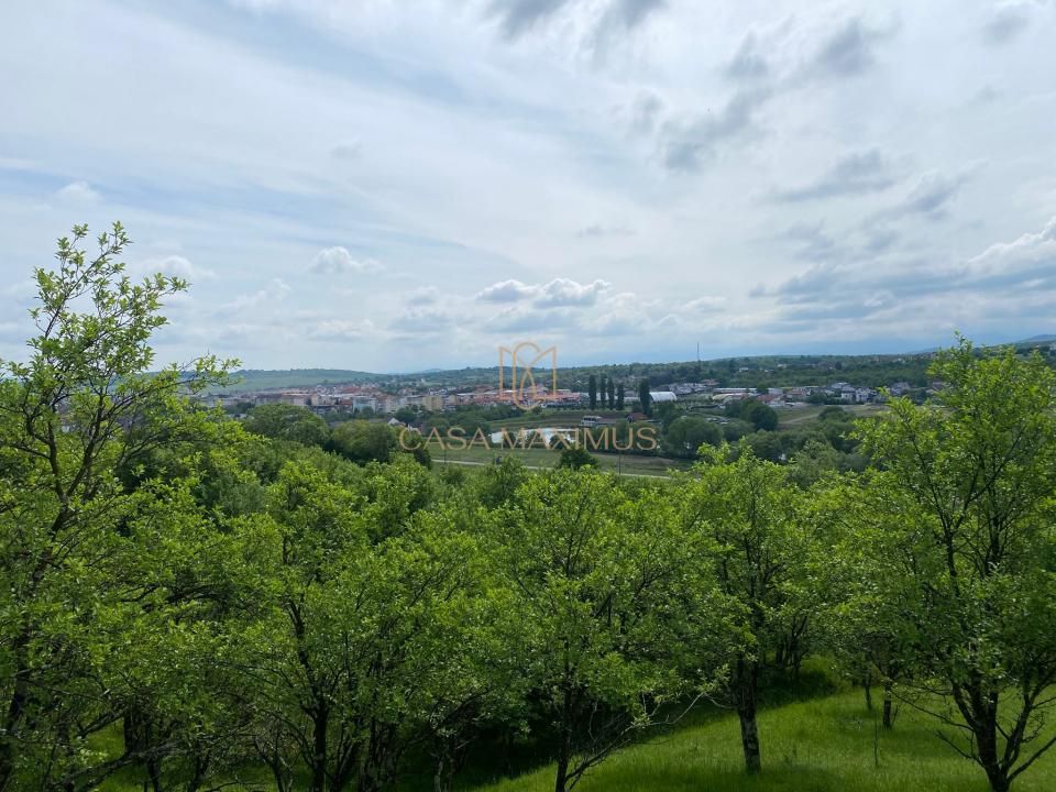 TEREN CU PANORAMĂ SPECTACULOASĂ ÎN CISNĂDIOARA – OPORTUNITATE DE INVESTIȚIE! – fotografia 10 din 15