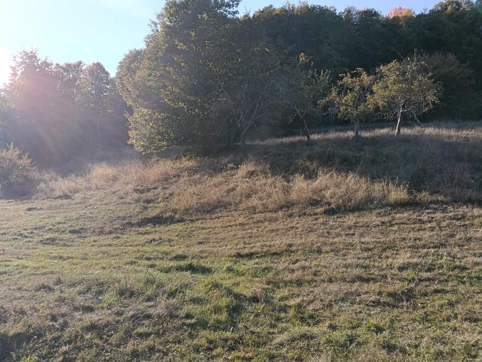 TERENUL PE CARE NU-L CAUȚI… DAR CÂND ÎL VEZI, ÎL VREI! – fotografia 5 din 12
