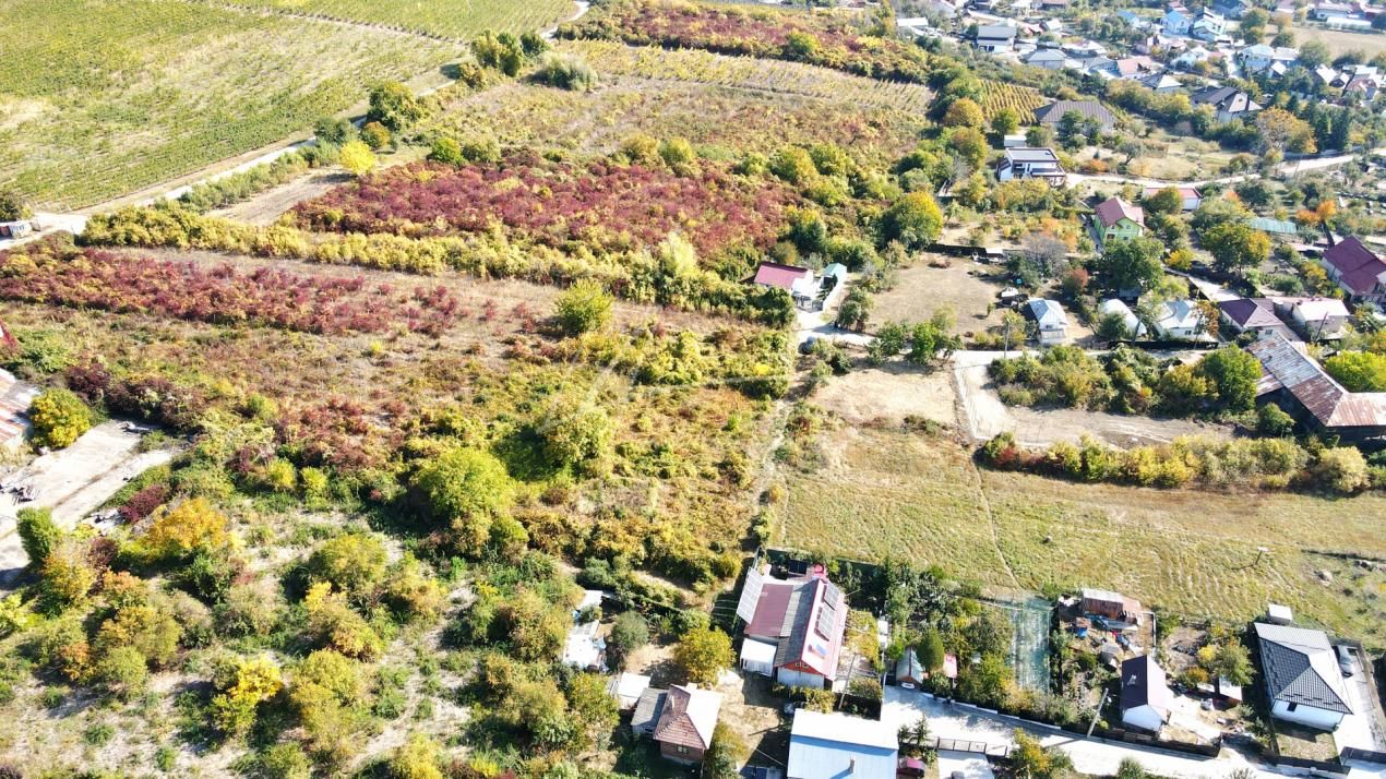 Teren intravilan de 1.800 mp, lângă cramă, Viișoara, Ștefănești, Argeș – fotografia 8 din 11