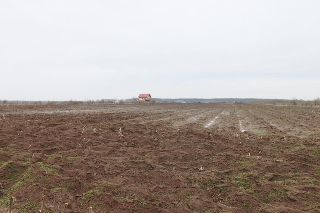 Teren 4000 mp lângă Pădurea Petrești | Investiție dezvoltare | Corbeanca – fotografia 4 din 7