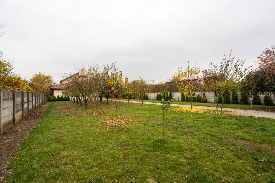 Vilă de excepție în Săftica, Balotești — investiție cu potențial – fotografia 5 din 90