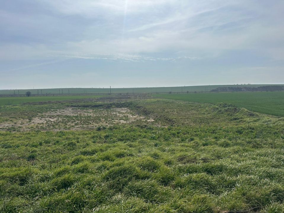 Teren intravilan 10.000 mp | DN | in Zona Volvo - Hala Neagră – fotografia 4 din 10