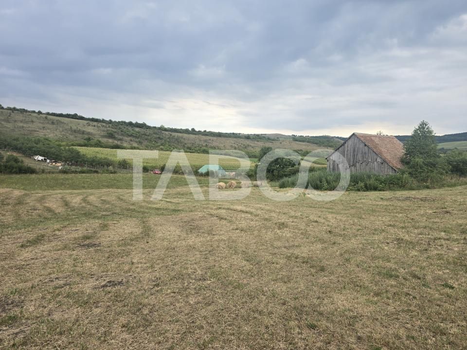 Teren de vanzare 8700 mp cu un front de 30m in Sura Mare – fotografia 4 din 8