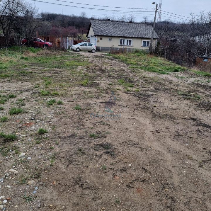 Vanzare Teren intravilan 3133 mp strada Sofiei, Oradea, Bihor - Exclusivitatate – fotografia 4 din 7