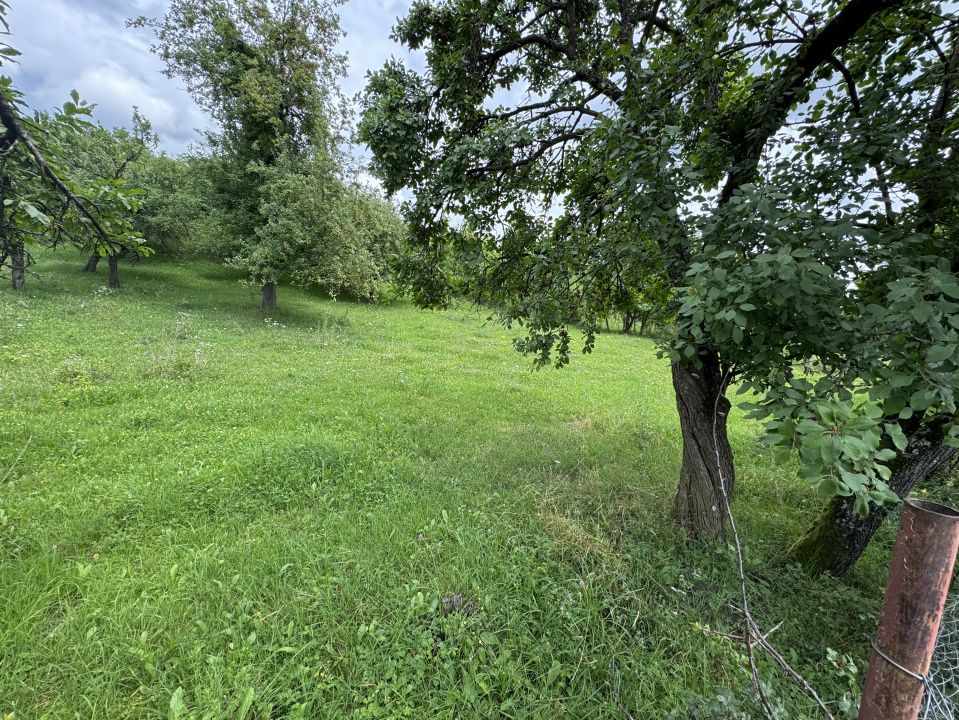 🏡 Teren intravilan | 22Ari. |  Budacu de Sus, la doar 17 km de Bistrița! 🌳 – fotografia 3 din 4