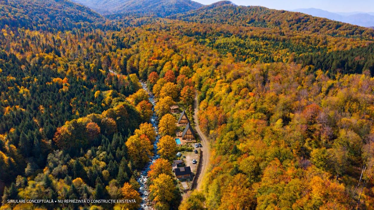 Teren 2.000 mp în Valea Avrigului Pădure, apă curgătoare și liniște – fotografia 2 din 10