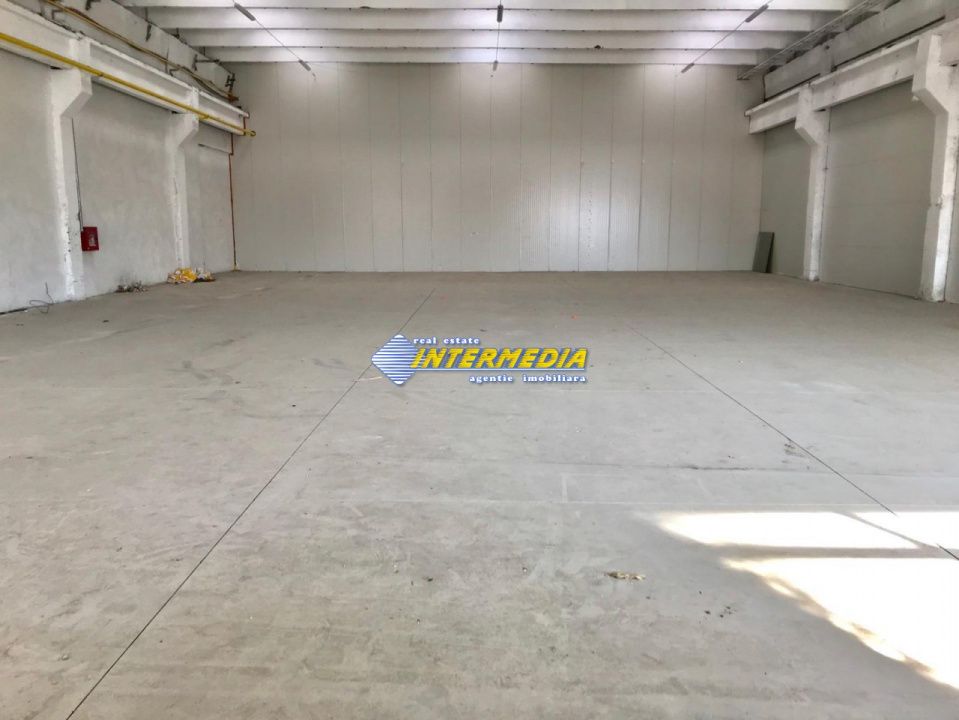 Hale Productie Depozitare Alba Su. de la 1725 mp. - 4000 mp. finisata complet – fotografia 4 din 11