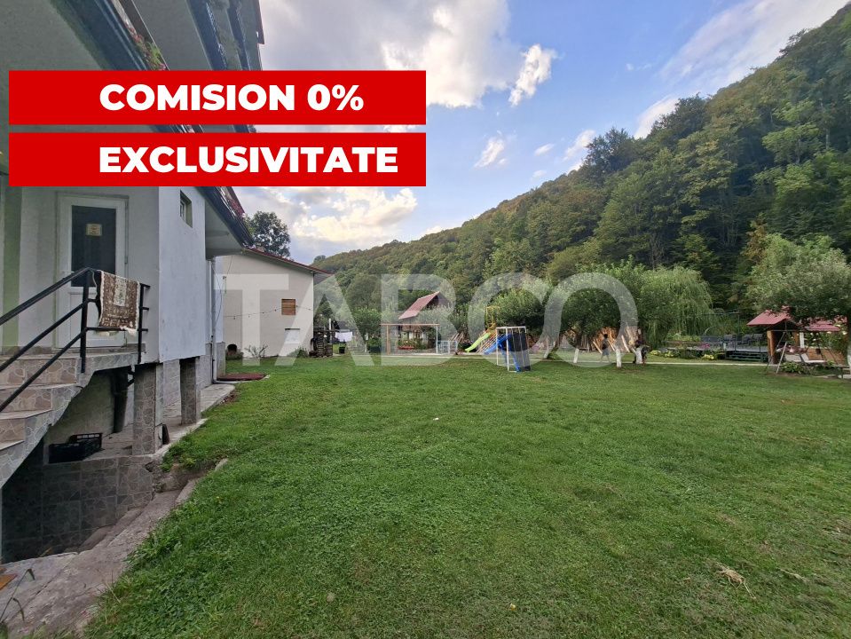 Spatiu de vanzare in Valea Macesului judel Valcea iesire la Lotru – fotografia 2 din 49