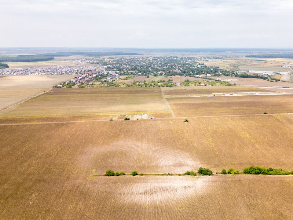 DASCALU – TEREN INTRAVILAN 11300 MP, INVESTITIE! – fotografia 18 din 18