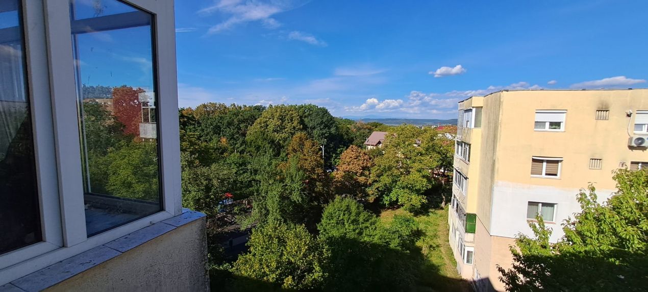 Apartament 2 camere-Trivale-Zona excelentă-Str. Frasinului – fotografia 6 din 7