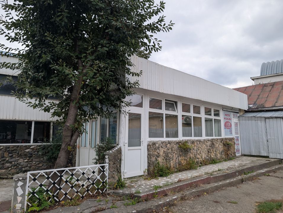 Spatii de inchiriat Bacau zona Gara – fotografia 12 din 12