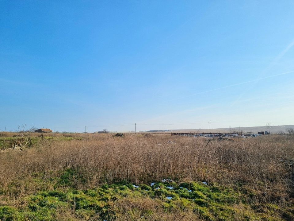Teren intravilan 7400 mp in Sibioara, cu vedere la Lacul Tasaul – fotografia 3 din 7