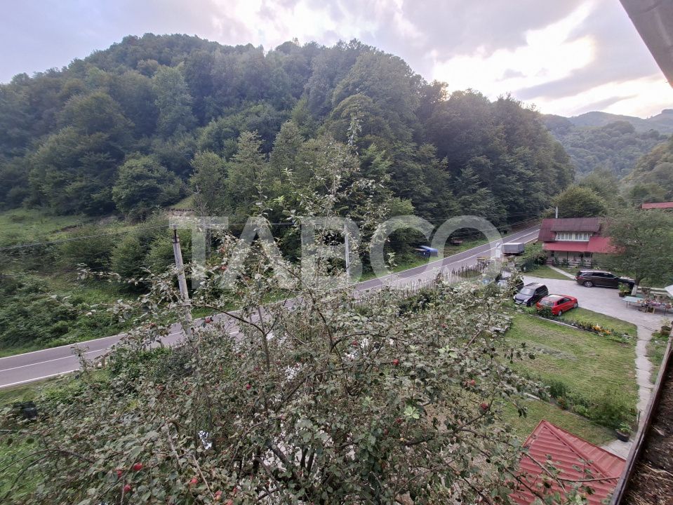 Spatiu de vanzare in Valea Macesului judel Valcea iesire la Lotru – fotografia 41 din 49