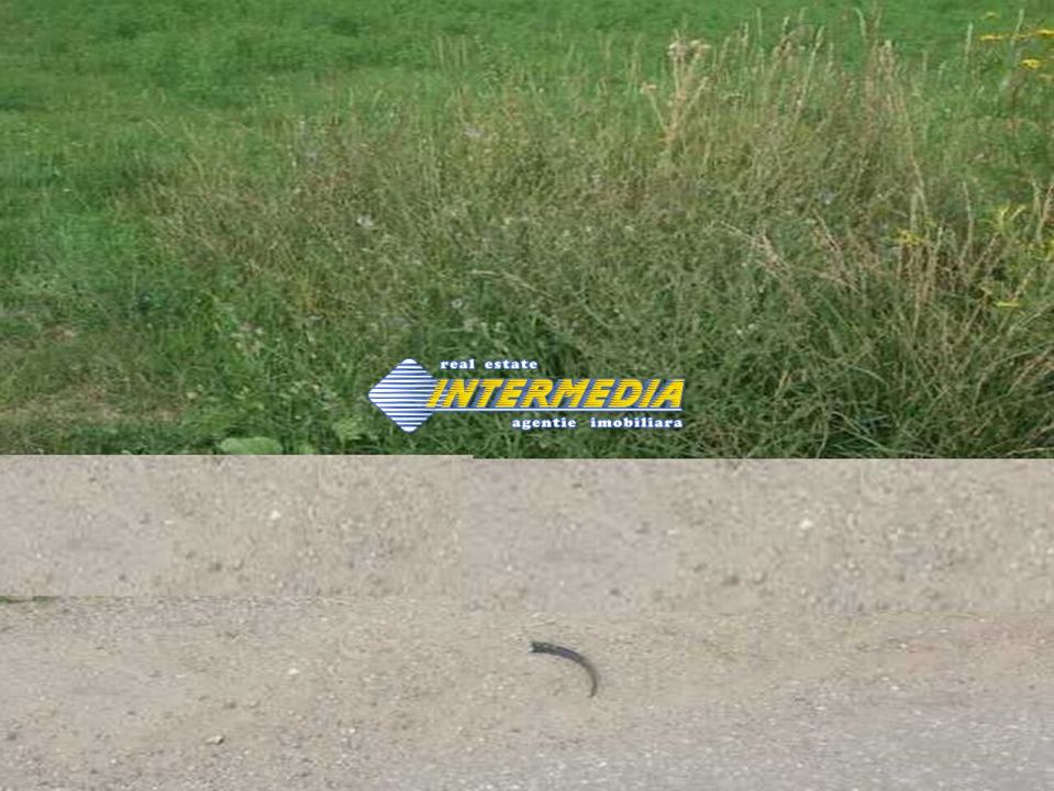 Teren Intravilan 600 mp in zona Alba Micesti, parcele diverse – fotografia 1 din 5