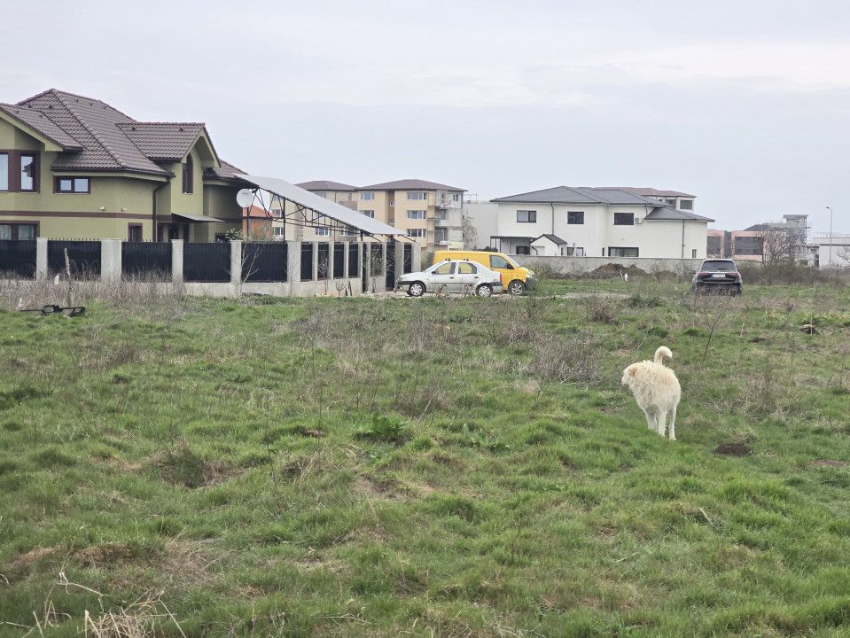 Teren de vanzare in Constanta zona Km 5 - Veterani – fotografia 3 din 11