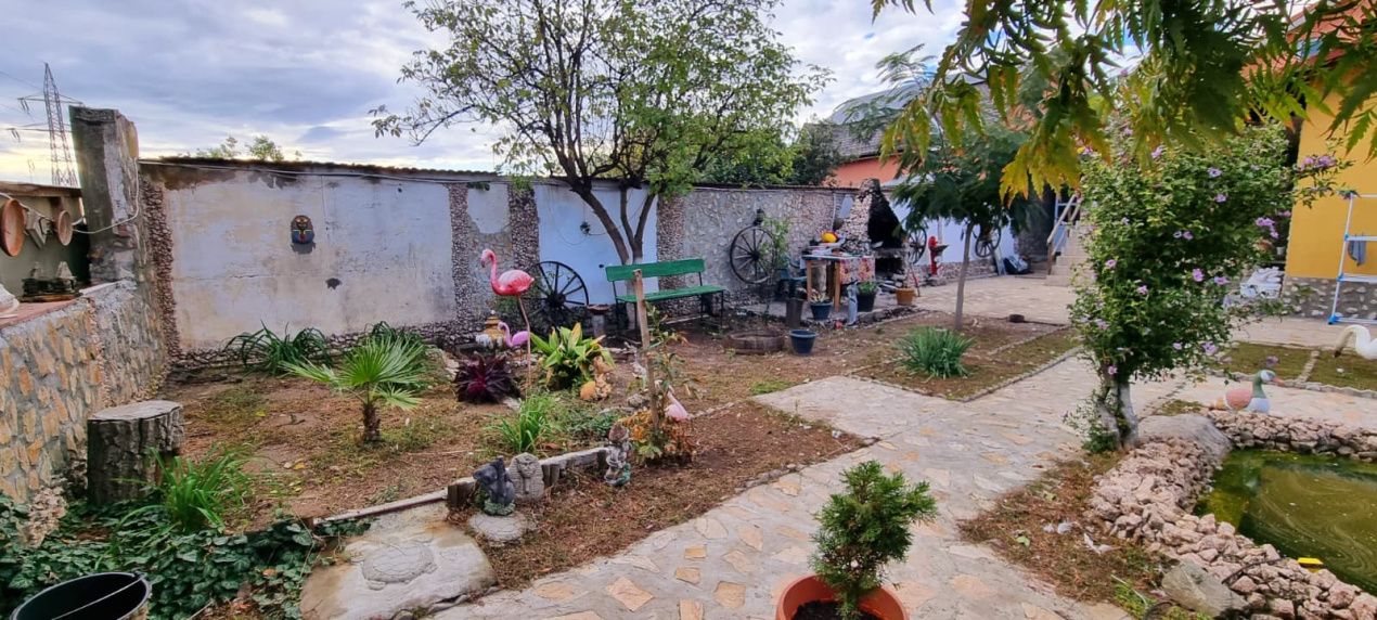 Casă parter cu teren de 1400 mp în Bariera Vâlcii aproape de drumul expres – fotografia 10 din 24