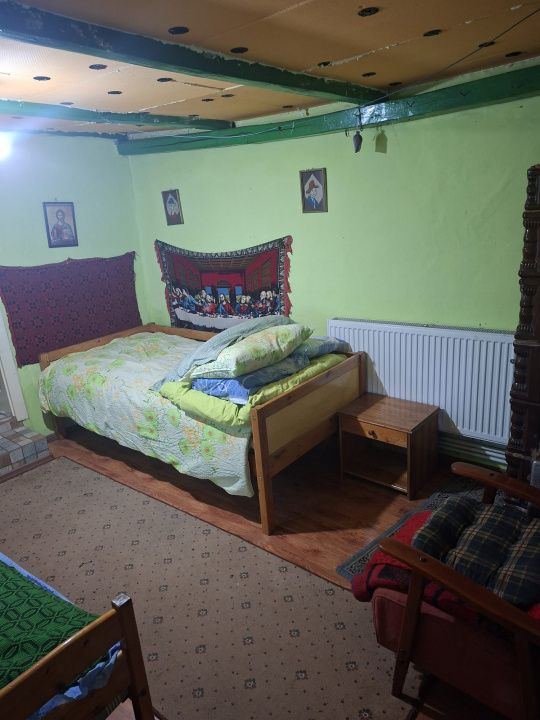 Casă în Cricău cu 1.375 mp teren, anexe, utilități, vie și livadă - Oportunitate – fotografia 30 din 54