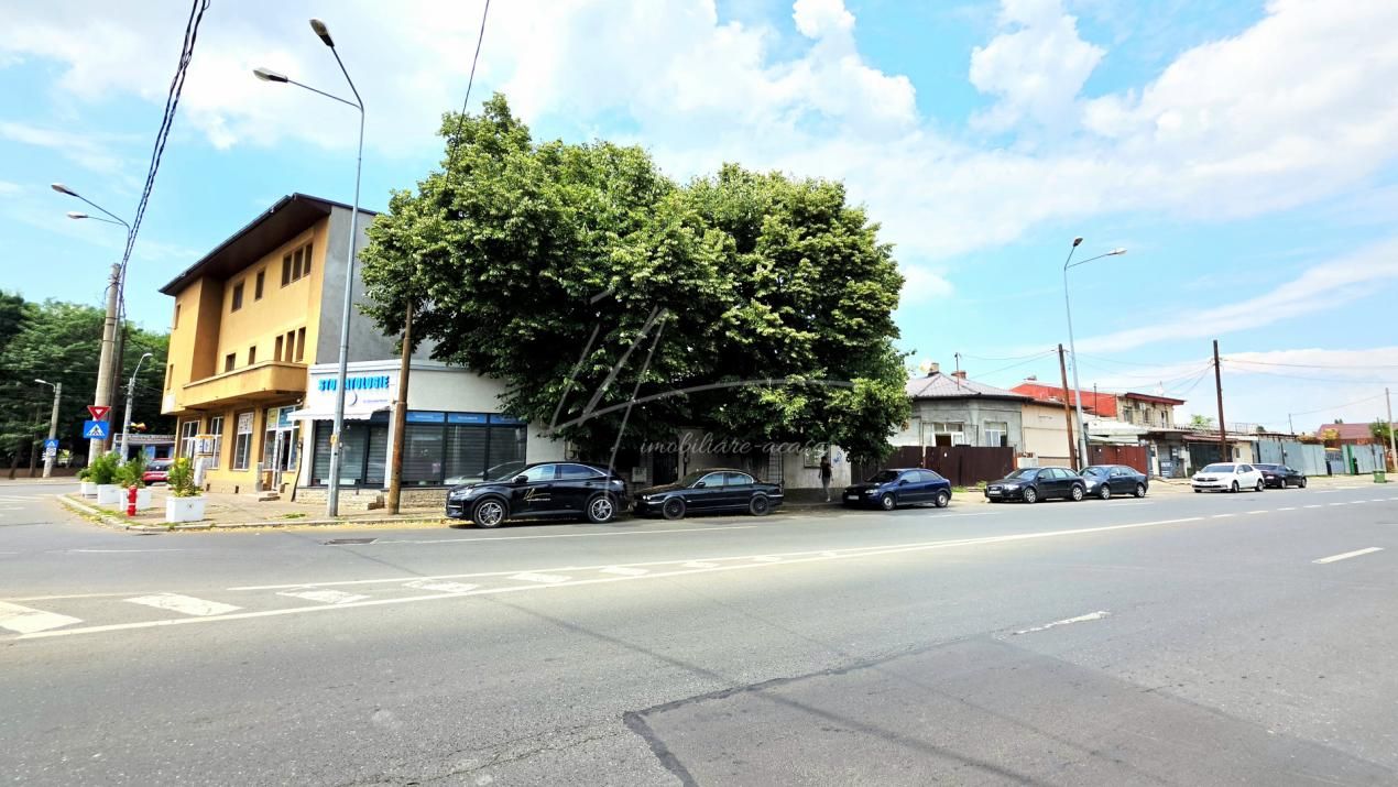 Pieptanari 100. Casele din umbra teilor. Rezidential sau comercial? – fotografia 4 din 60