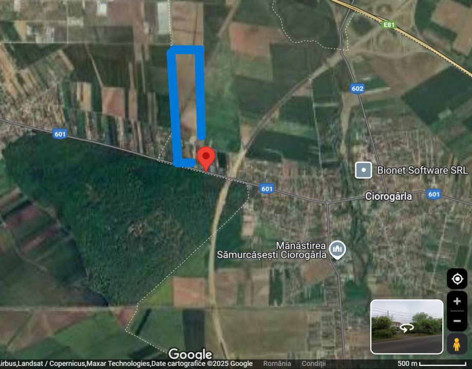 OPORTUNITATE -Teren de Vis la Marginea Pădurii – 5000 mp în Ciorogârla – fotografia 2 din 7