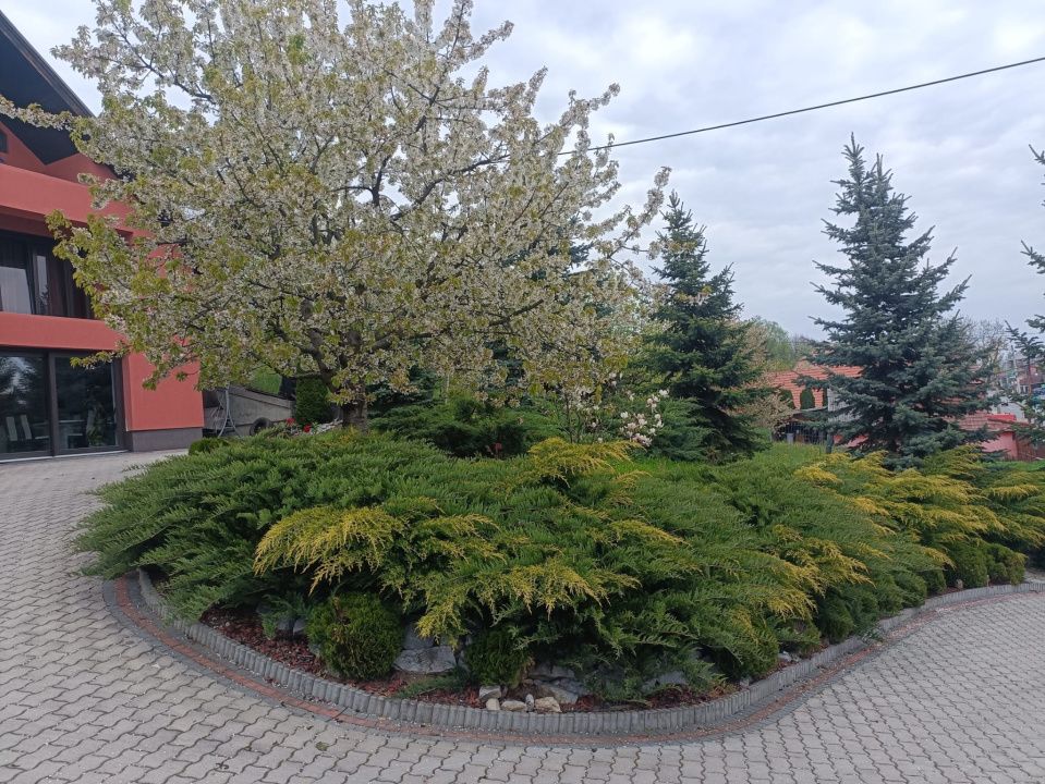 Casă de vânzare Reghin, zonă semicentrală. – fotografia 3 din 23