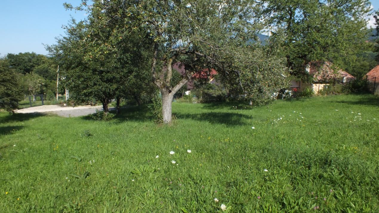 Teren Bran Sohodol , o zona de vis, o priveliste unica spre Bucegi! – fotografia 3 din 17