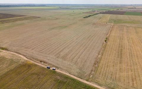 DASCALU - TEREN INTRAVILAN 7500 MP, INVESTITIE!
