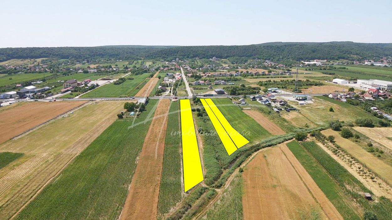 Teren cu potențial de dezvoltare –7427 mp în Argeșelu, Mărăcineni, județul Arges – fotografia 3 din 11