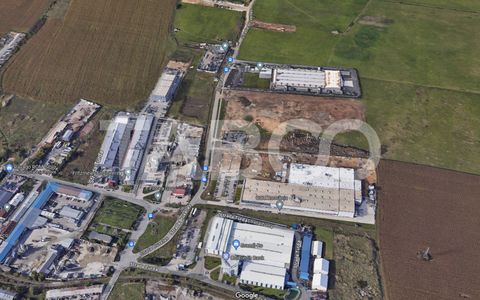 Teren de vanzare de 9.000 mp la sosea zona Industriala Vest