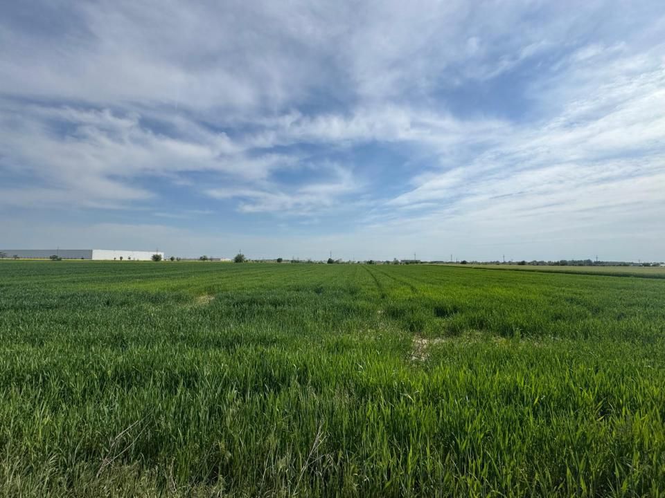 🚨 OPORTUNITATE| Teren intravilan 5.000 mp | Ghionea – Ulmi – Giurgiu |dubla D – fotografia 6 din 6