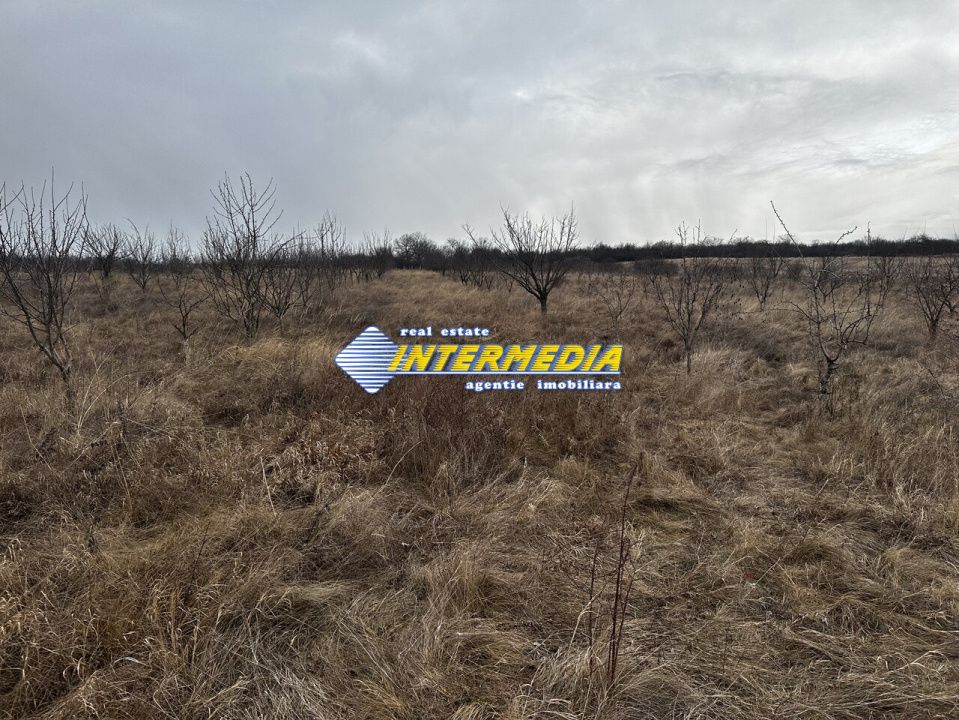 Teren extravilan de vanzare in suprafata de 80000 mp cu livada de pomi fructiferi – fotografia 8 din 11