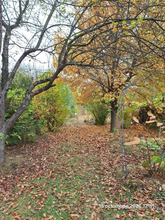 Teren intravilan Tocile, 1.093 mp / livadă, cabană, rulotă și o toamna frumoasă! – fotografia 1 din 37