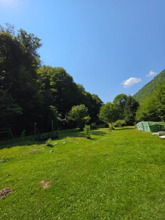 🏡 PROPRIETATE EXTRAORDINARĂ– LOTRIOARA, JUDEȚUL SIBIU! 🌲 – fotografia 72 din 72