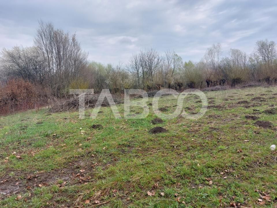 Teren intravilan pentru casa zona linistita 550 mp front 21 m Cisnadie – fotografia 7 din 7