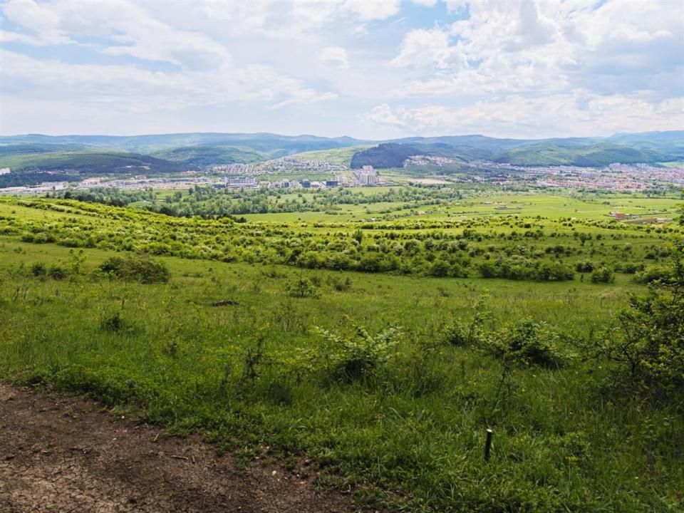 Teren vanzare Centura Donath Nord, 2900 mp – fotografia 1 din 11