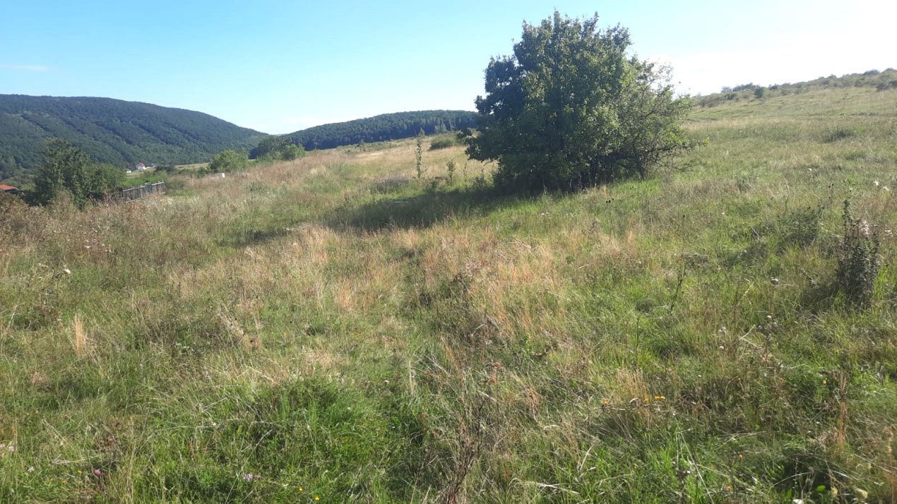 Teren cu autorizatie si utilitati in Salicea – fotografia 3 din 7