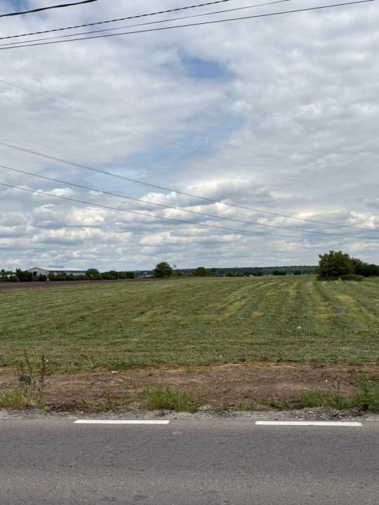 Teren intravilan 20.000 mp | DJ 602 la stradă | 55 ml deschidere | Ciorogârla – fotografia 5 din 5