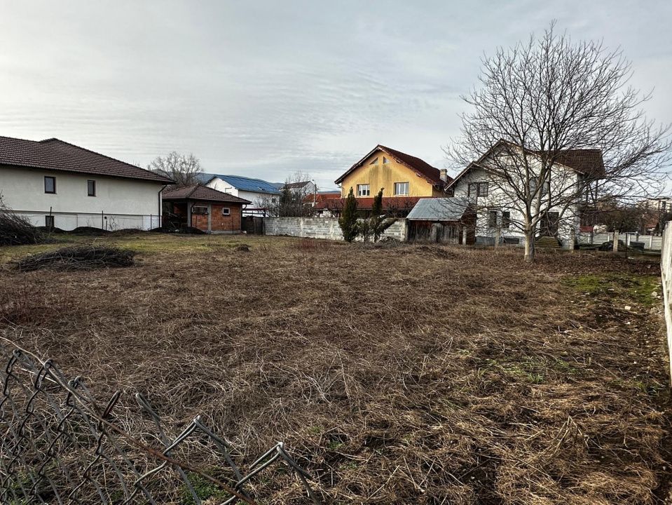 Teren Intravilan CETATE Lalelelor 450 mp. D=14 m. Toate Utilitatile in fata – fotografia 8 din 8