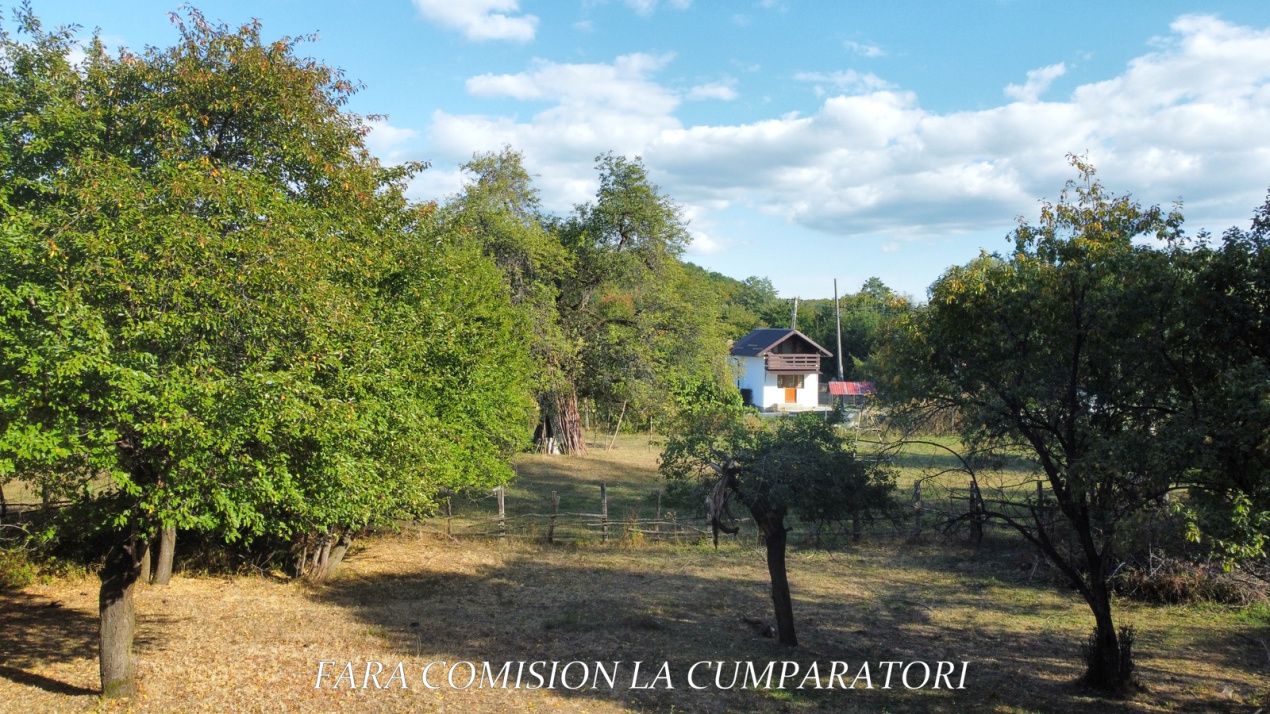 TEREN 5274 MP, CADRU NATURAL MINUNAT – fotografia 10 din 17