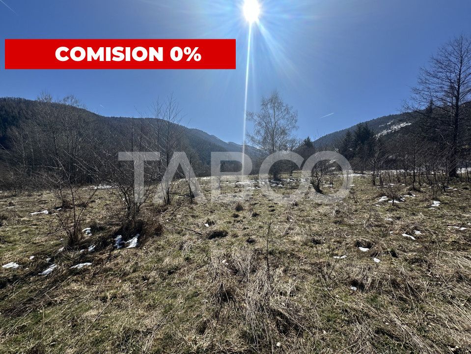 Teren extravilan 4600 mp cu acces la rau Satul de Vacanta Dejani – fotografia 1 din 5