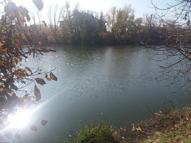 Vilă modernă în Chitila, lângă Lacul cu Nuferi,  3 dormitoare, curte proprie, – fotografia 17 din 18