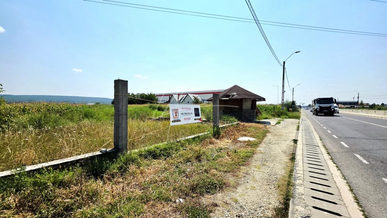 Teren cu potențial de dezvoltare –7427 mp în Argeșelu, Mărăcineni, județul Arges – fotografia 2 din 11