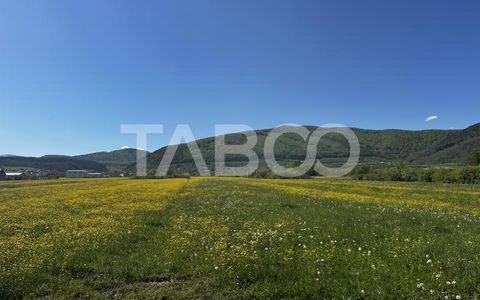 Teren de vanzare suprafata de 3000 mp in zona industriala Poplaca