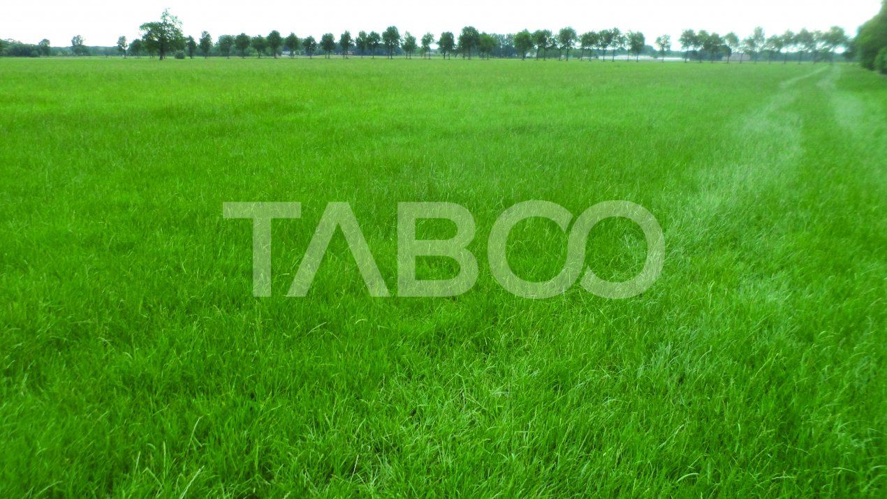 Teren intravilan deschidere 35 ml 7000mp in zona Industrial Vest Sibiu – fotografia 2 din 2