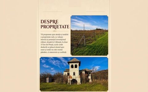 Domeniu viticol 5,5 ha, Conac boieresc | Călinești, Argeș