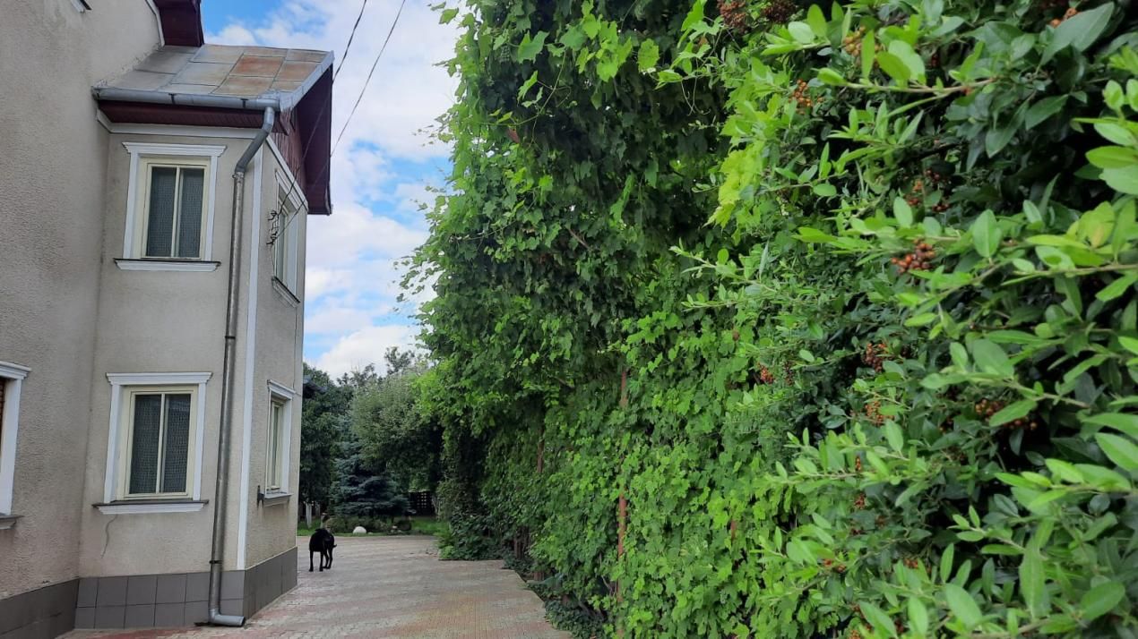 Casă individuală 260mp, teren 2.145 mp și livadă,  Zonă Kaufland, Turda – fotografia 12 din 13